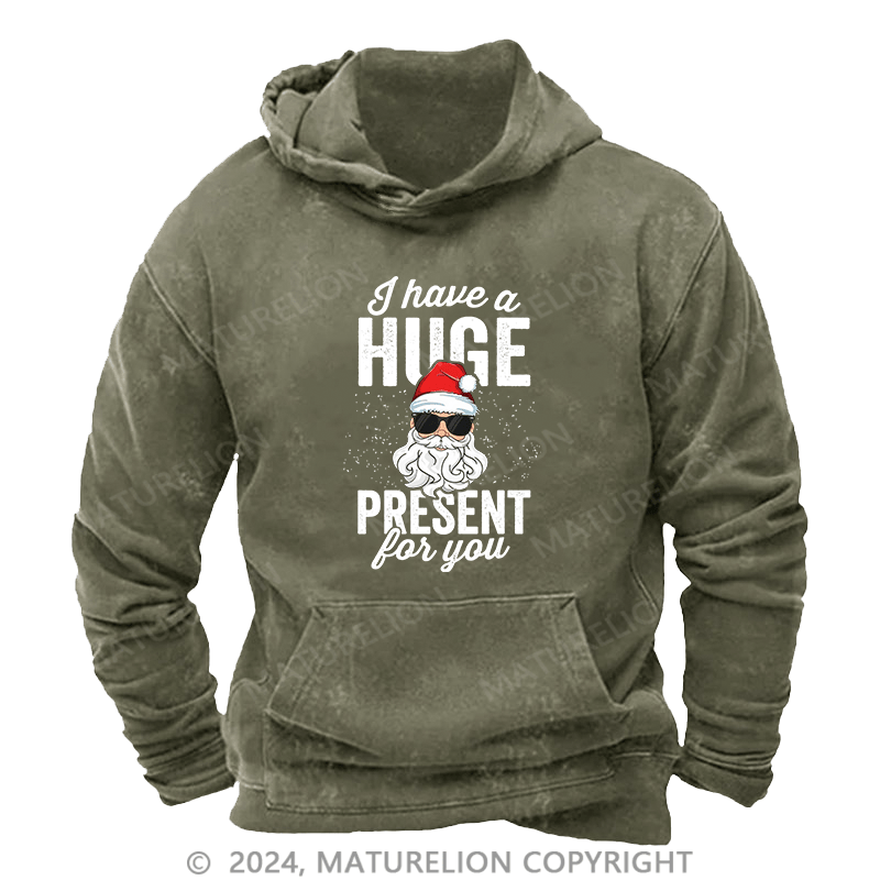 Maturelion Men's Hoodie I Have A Huge Present For You DTG Printing Washed Hoodie