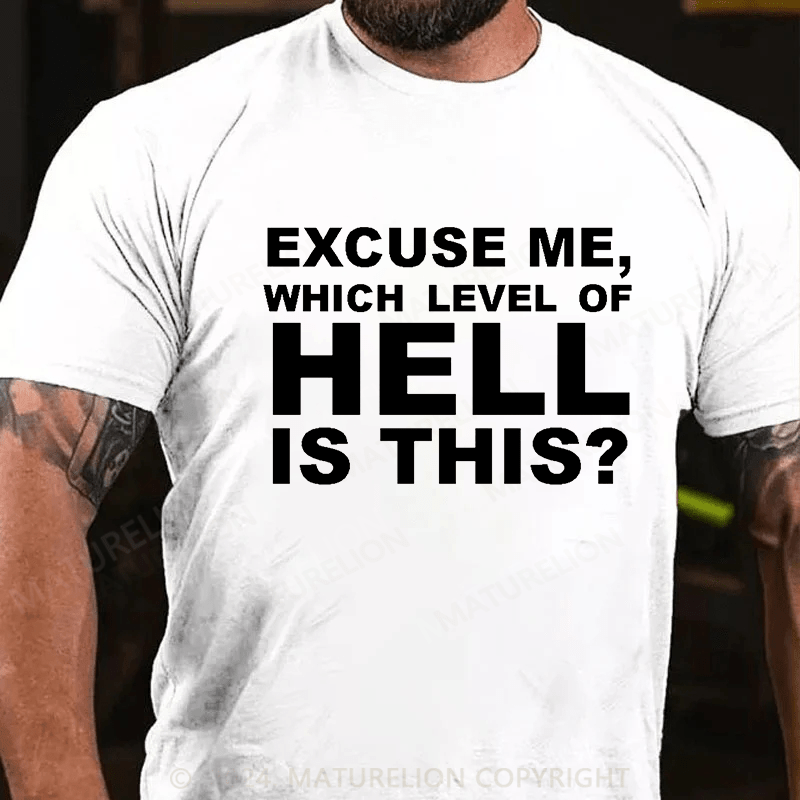 Matuerlion Excuse Me, Which Level Of Hell Is This? T-Shirt