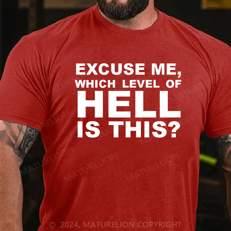 Matuerlion Excuse Me, Which Level Of Hell Is This? T-Shirt
