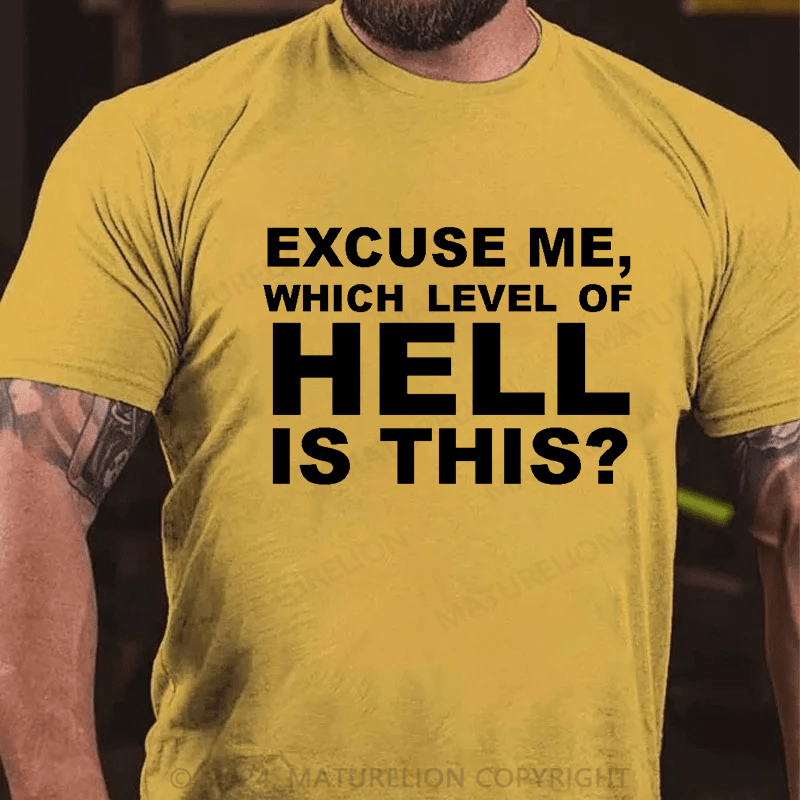 Matuerlion Excuse Me, Which Level Of Hell Is This? T-Shirt