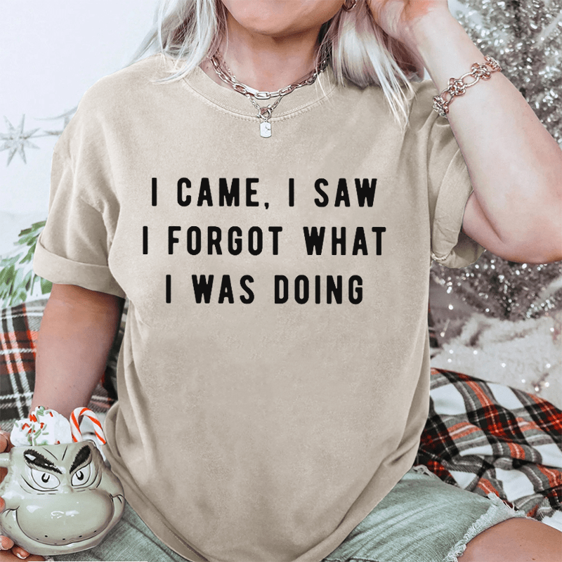 Maturelion I Came, I Saw I Forgot What I Was Doing DTG Printing Washed Cotton T-Shirt