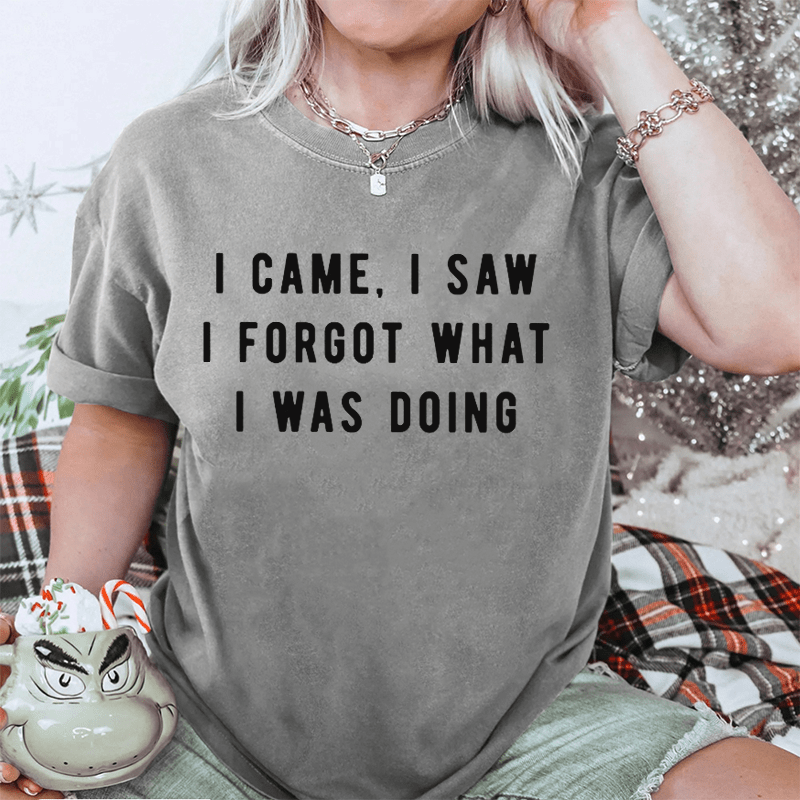 Maturelion I Came, I Saw I Forgot What I Was Doing DTG Printing Washed Cotton T-Shirt