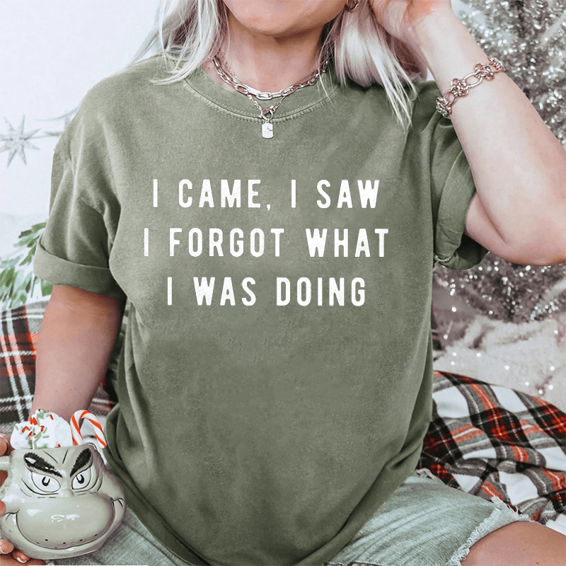 Maturelion I Came, I Saw I Forgot What I Was Doing DTG Printing Washed Cotton T-Shirt