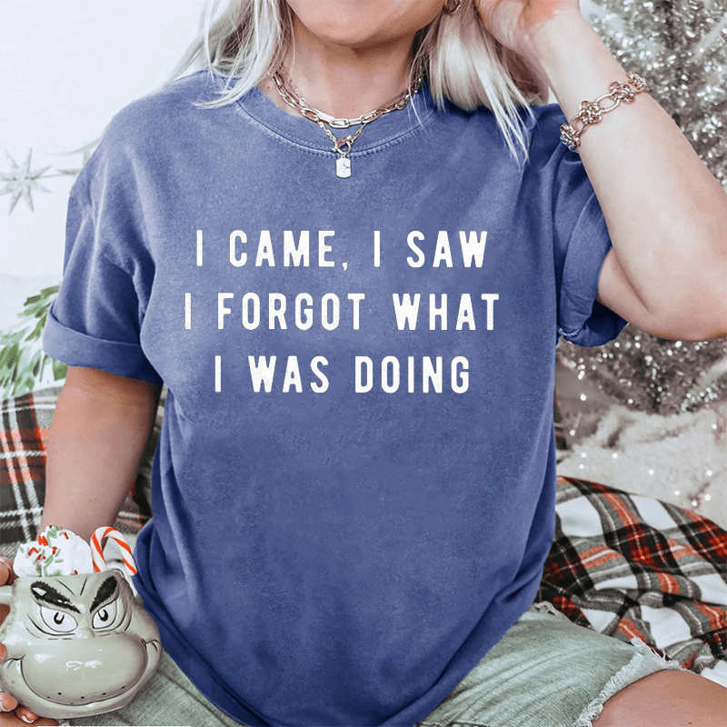 Maturelion I Came, I Saw I Forgot What I Was Doing DTG Printing Washed Cotton T-Shirt