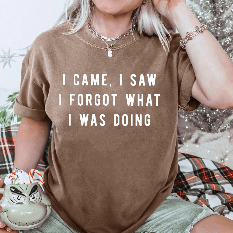 Maturelion I Came, I Saw I Forgot What I Was Doing DTG Printing Washed Cotton T-Shirt