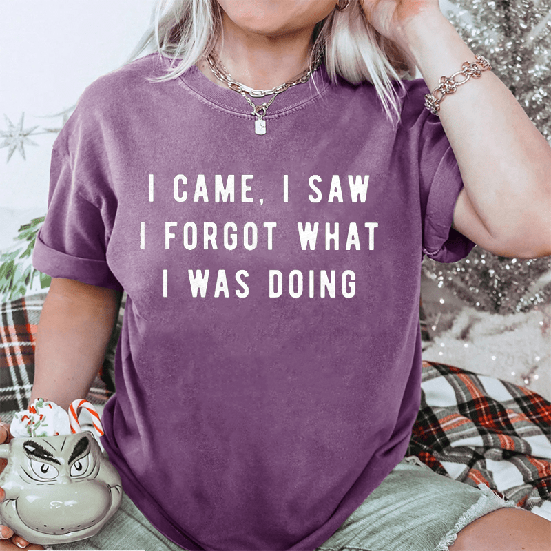 Maturelion I Came, I Saw I Forgot What I Was Doing DTG Printing Washed Cotton T-Shirt