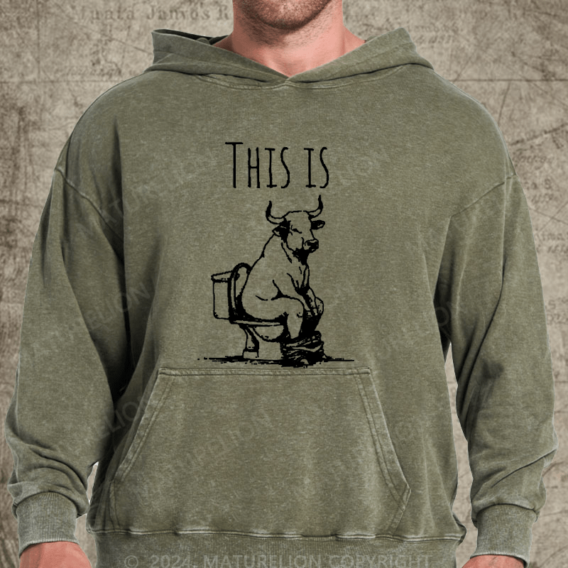 Maturelion This Is Bullshit Washed Custom Hoodies
