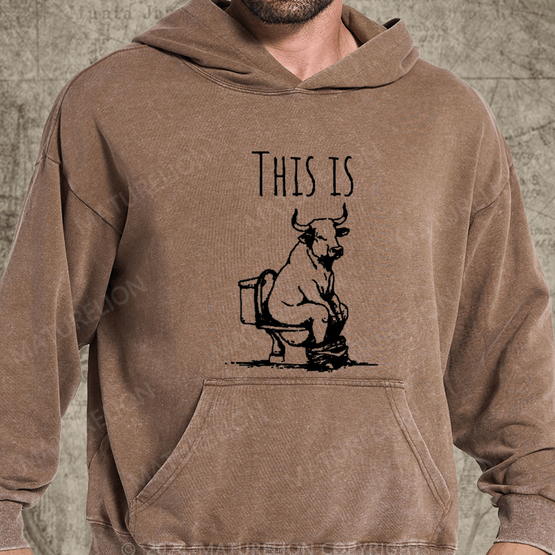 Maturelion This Is Bullshit Washed Custom Hoodies