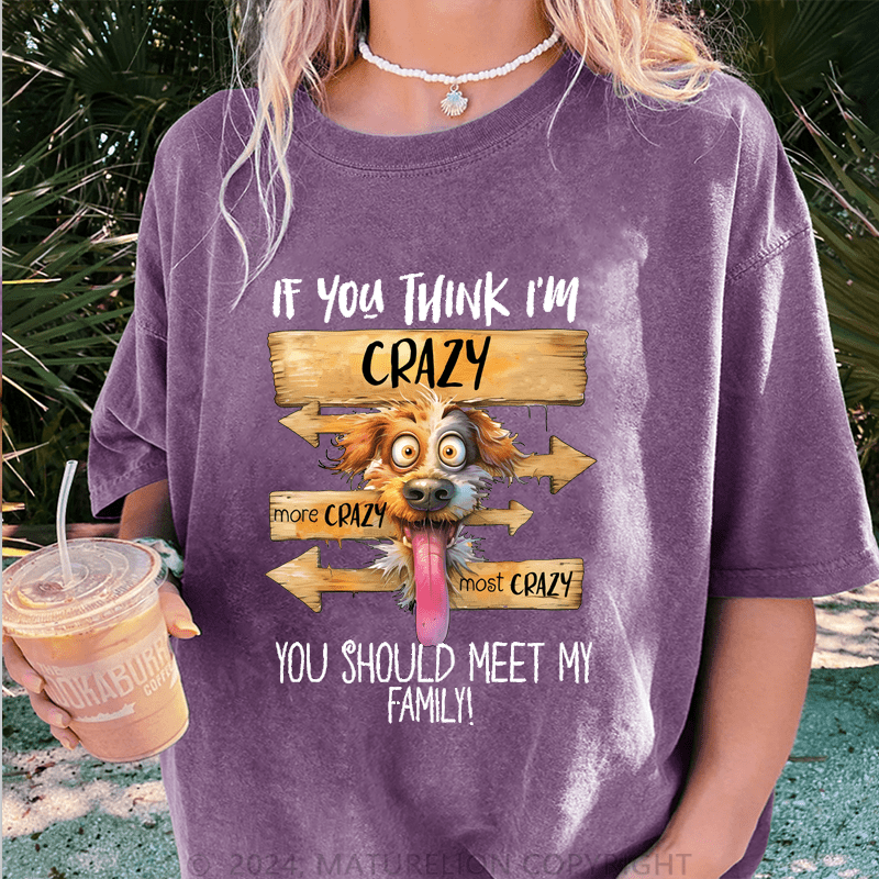 Maturelion If You Thing I'm Crazy More Crazy Most Crazy You Should Meet My Family DTG Printing Washed Cotton T-Shirt
