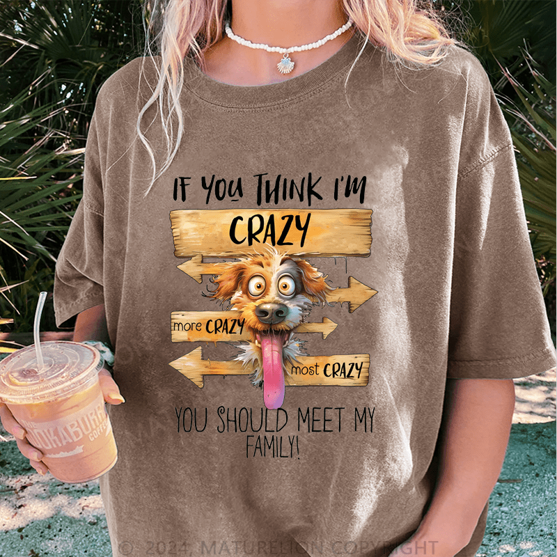 Maturelion If You Thing I'm Crazy More Crazy Most Crazy You Should Meet My Family DTG Printing Washed Cotton T-Shirt