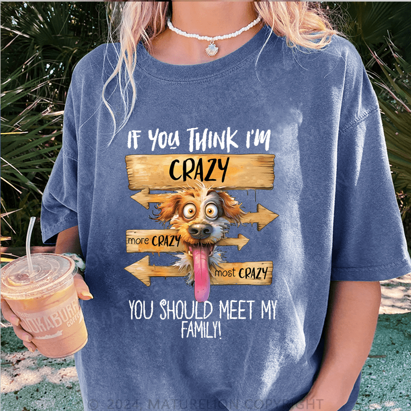 Maturelion If You Thing I'm Crazy More Crazy Most Crazy You Should Meet My Family DTG Printing Washed Cotton T-Shirt