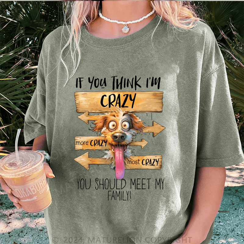 Maturelion If You Thing I'm Crazy More Crazy Most Crazy You Should Meet My Family DTG Printing Washed Cotton T-Shirt