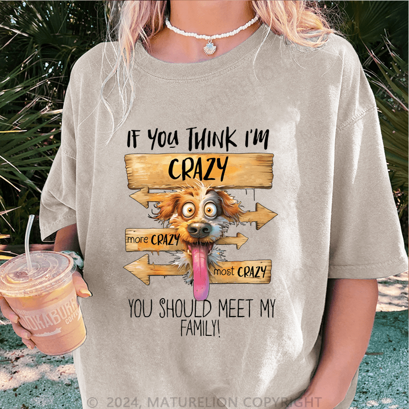 Maturelion If You Thing I'm Crazy More Crazy Most Crazy You Should Meet My Family DTG Printing Washed Cotton T-Shirt