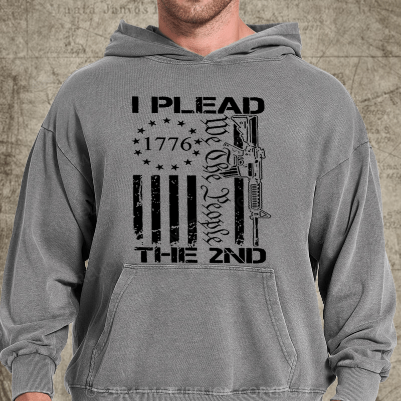 Maturelion I Plead The 2nd Amendment We The People AR15 Pro Gun DTG Printing Washed Custom Hoodie