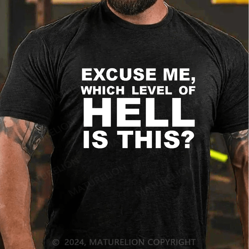 Matuerlion Excuse Me, Which Level Of Hell Is This? T-Shirt