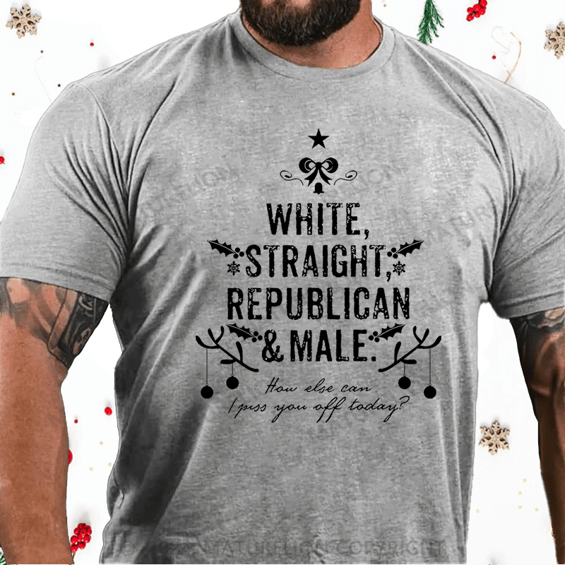 Maturelion Christmas T-Shirt How Else Can I Piss You Off Today Funny Sarcastic Cotton T-shirt