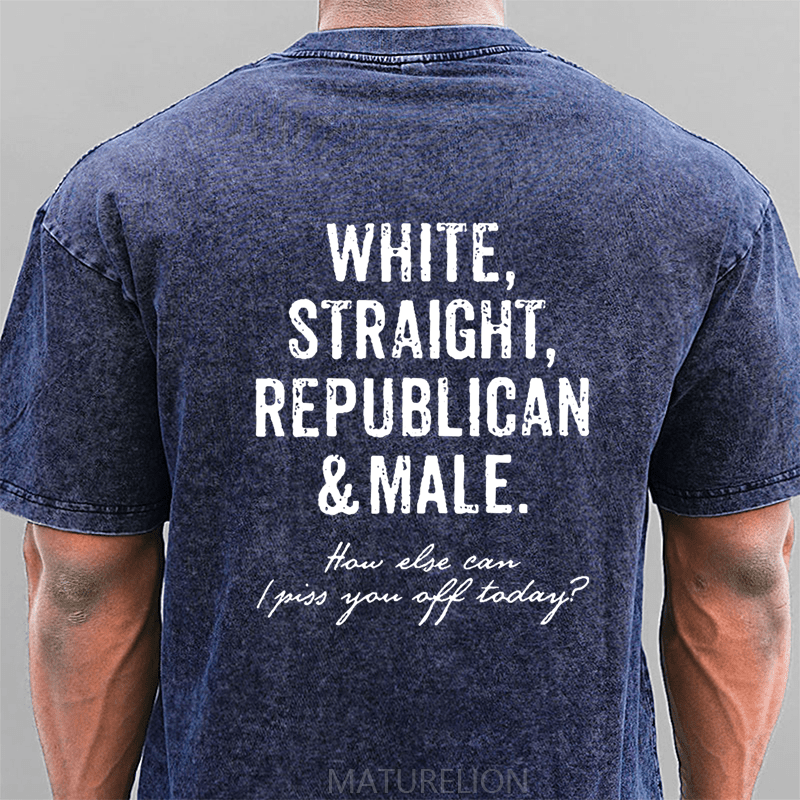 Maturelion How Else Can I Piss You Off Today Funny Sarcastic DTG Printing Washed  Cotton T-shirt
