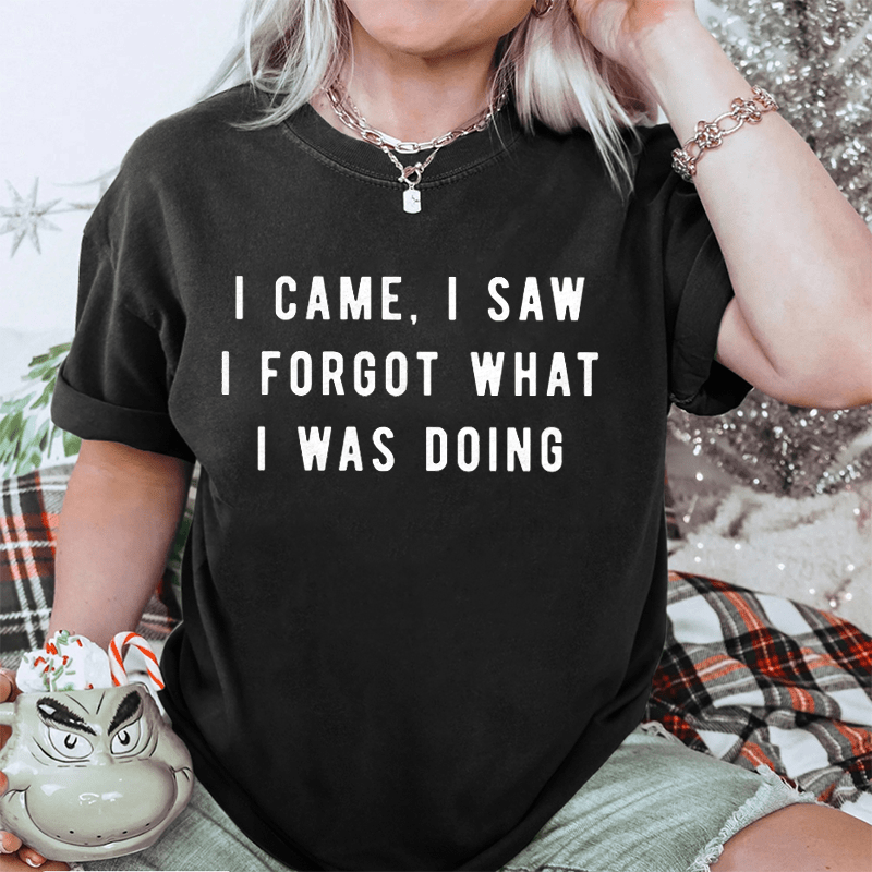Maturelion I Came, I Saw I Forgot What I Was Doing DTG Printing Washed Cotton T-Shirt