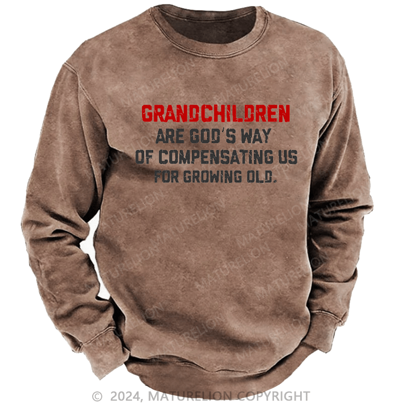 Maturelion Men's Sweatshirt Grandchildren Are God’S Way Of Compensating Us For Growing Old Custom Washed Sweatshirt