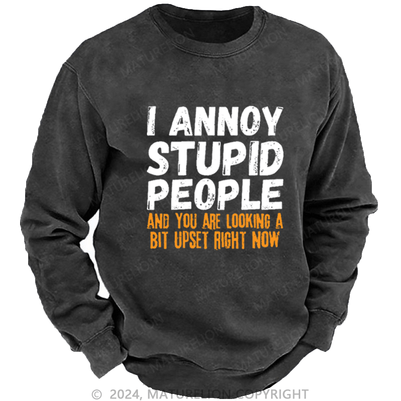 Maturelion Men's Sweatshirt I Annoy Stupid People And You Are Looking A Bit Upset Right Now Custom Washed Sweatshirt