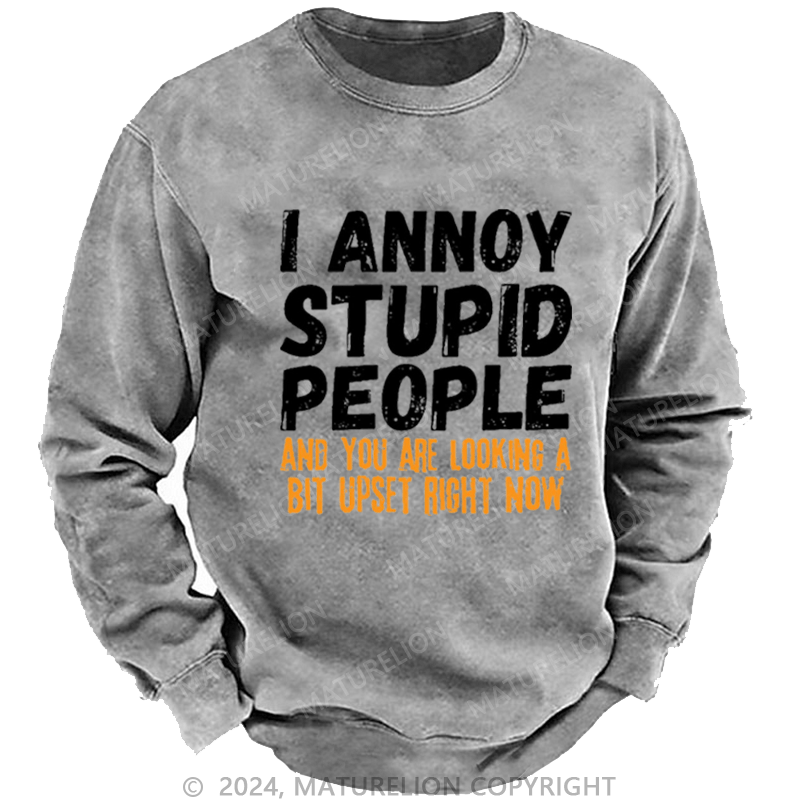 Maturelion Men's Sweatshirt I Annoy Stupid People And You Are Looking A Bit Upset Right Now Custom Washed Sweatshirt