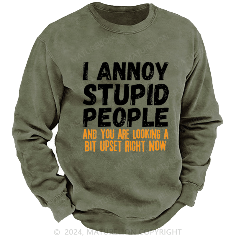 Maturelion Men's Sweatshirt I Annoy Stupid People And You Are Looking A Bit Upset Right Now Custom Washed Sweatshirt