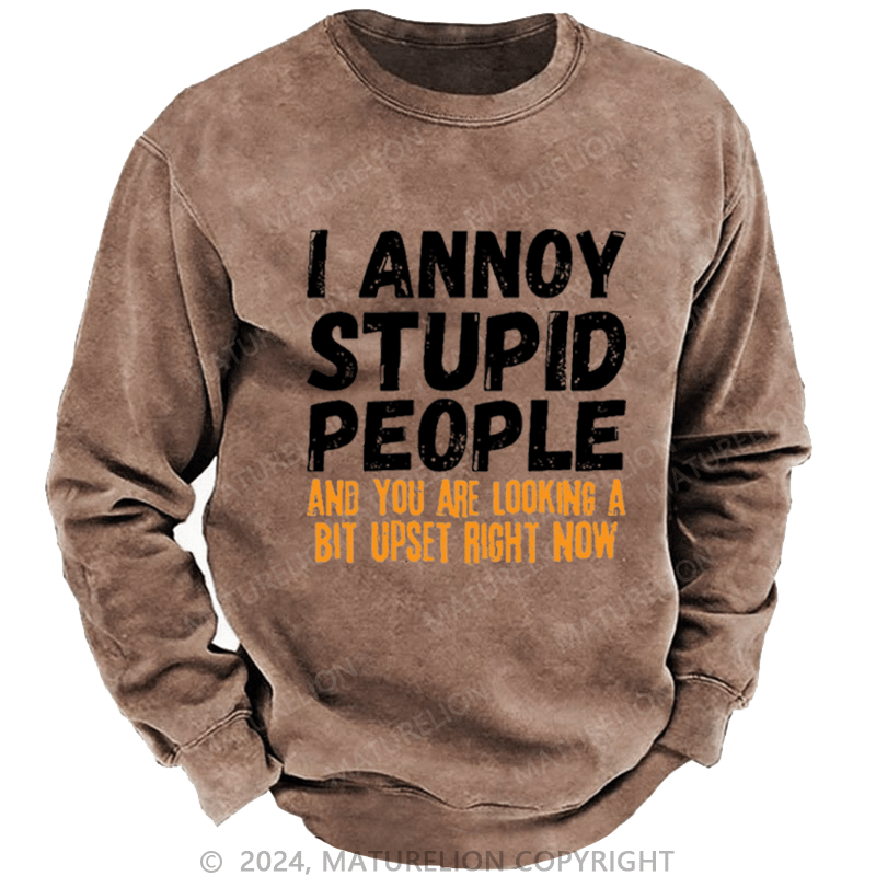 Maturelion Men's Sweatshirt I Annoy Stupid People And You Are Looking A Bit Upset Right Now Custom Washed Sweatshirt