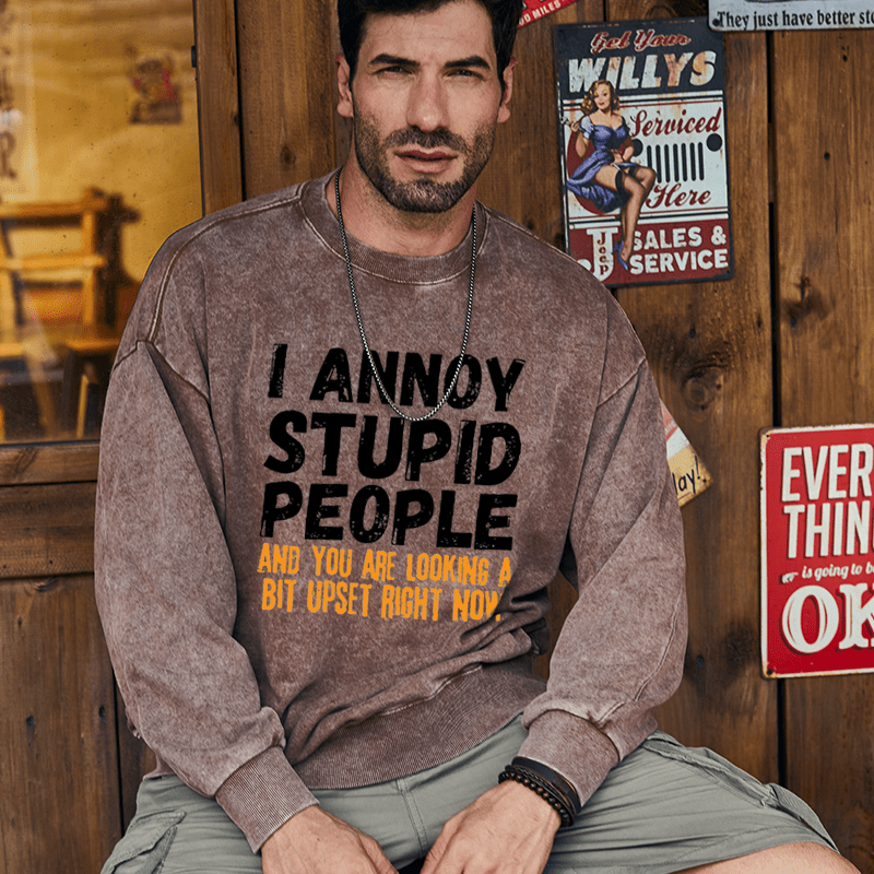 Maturelion Men's Sweatshirt I Annoy Stupid People And You Are Looking A Bit Upset Right Now Custom Washed Sweatshirt