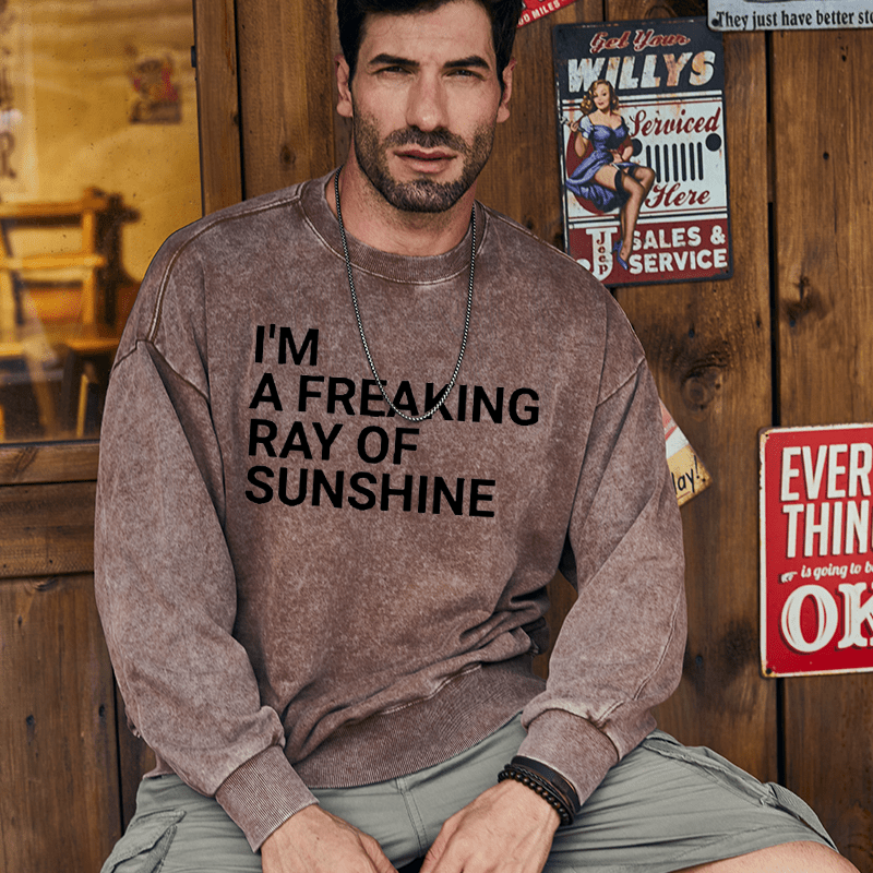 Maturelion Men's Sweatshirt I'm A Freaking Ray Of Sunshine Joke Custom Washed Sweatshirt