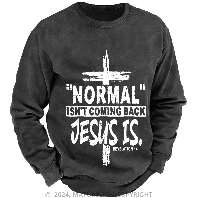 Maturelion Men's Sweatshirt Normal Isn't Coming Back Jesus Is Revelation 14 Christian Custom Washed Sweatshirt