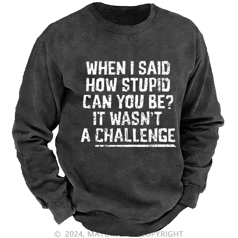 Maturelion Men's Sweatshirt When I Said How Stupid Can You Be It Wasn't A Challenge Custom Washed Sweatshirt