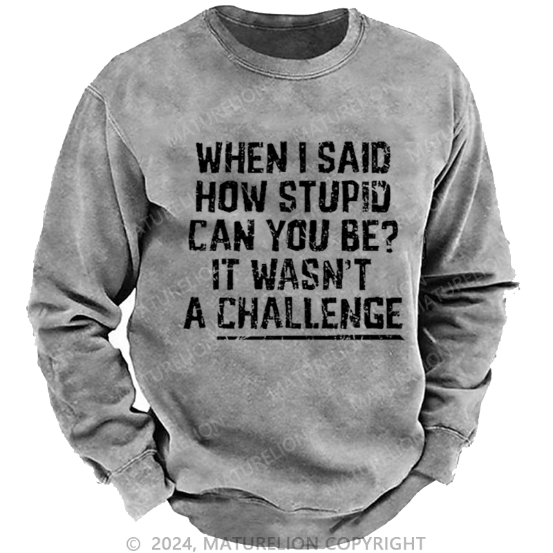Maturelion Men's Sweatshirt When I Said How Stupid Can You Be It Wasn't A Challenge Custom Washed Sweatshirt