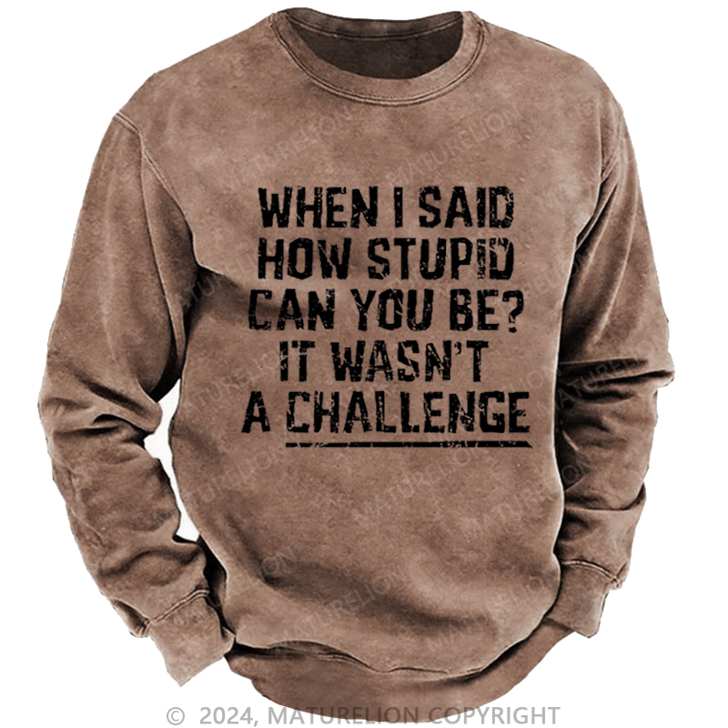 Maturelion Men's Sweatshirt When I Said How Stupid Can You Be It Wasn't A Challenge Custom Washed Sweatshirt