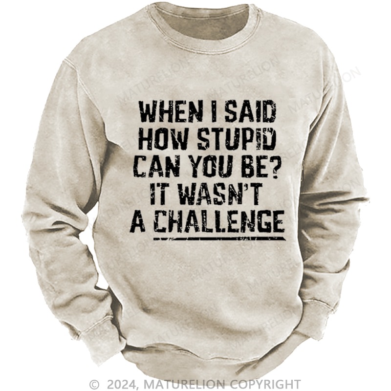 Maturelion Men's Sweatshirt When I Said How Stupid Can You Be It Wasn't A Challenge Custom Washed Sweatshirt