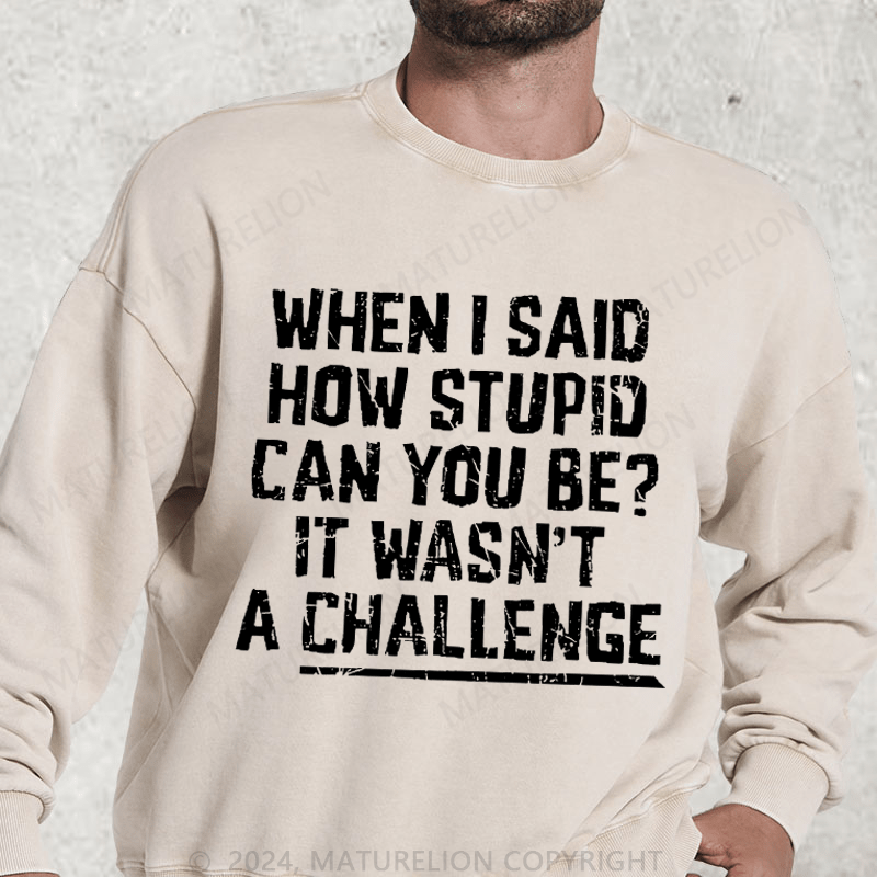 Maturelion When I Said How Stupid Can You Be It Wasn't A Challenge Washed Sweatshirt