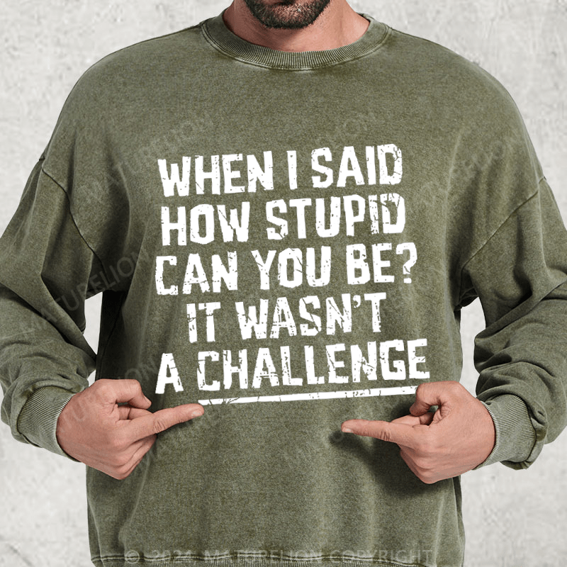 Maturelion When I Said How Stupid Can You Be It Wasn't A Challenge Washed Sweatshirt