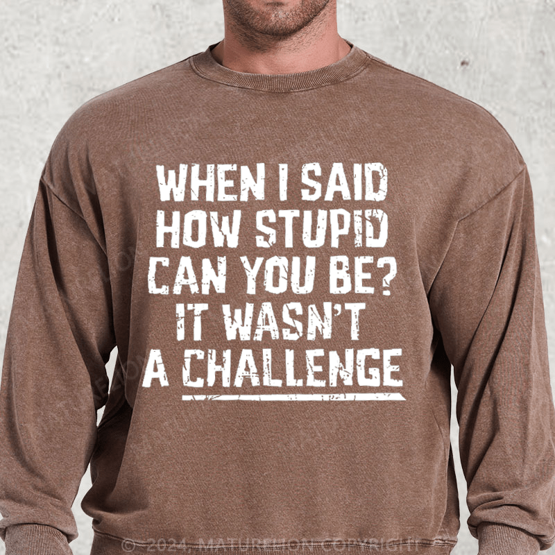 Maturelion When I Said How Stupid Can You Be It Wasn't A Challenge Washed Sweatshirt