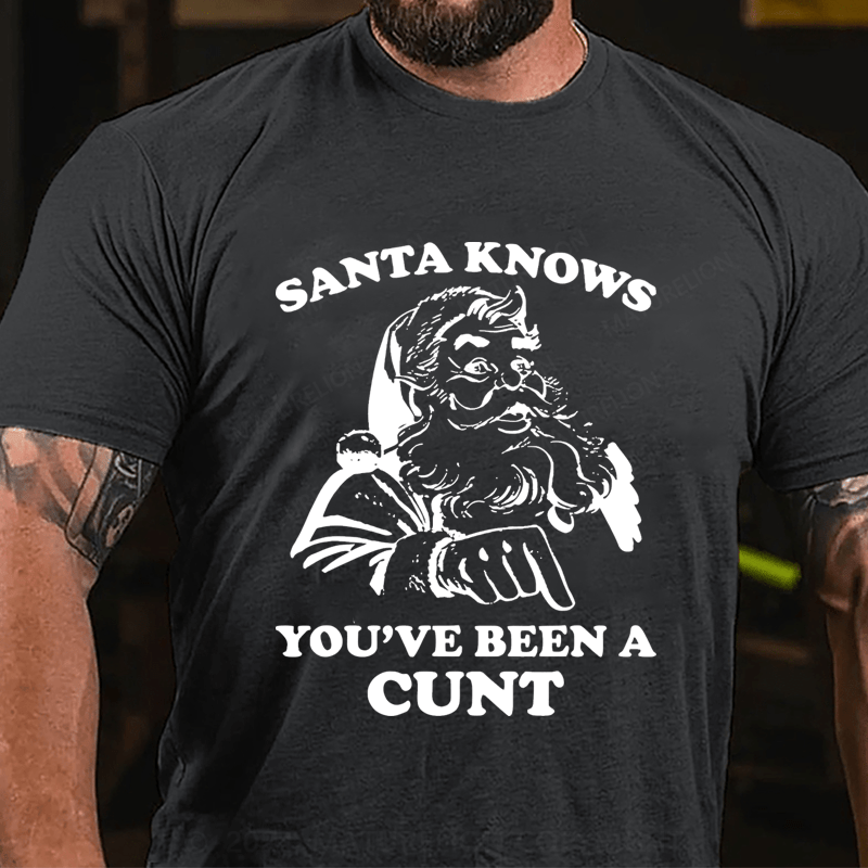 Maturelion Christmas T-Shirt Santa Knows You've Been A Cunt T-Shirt