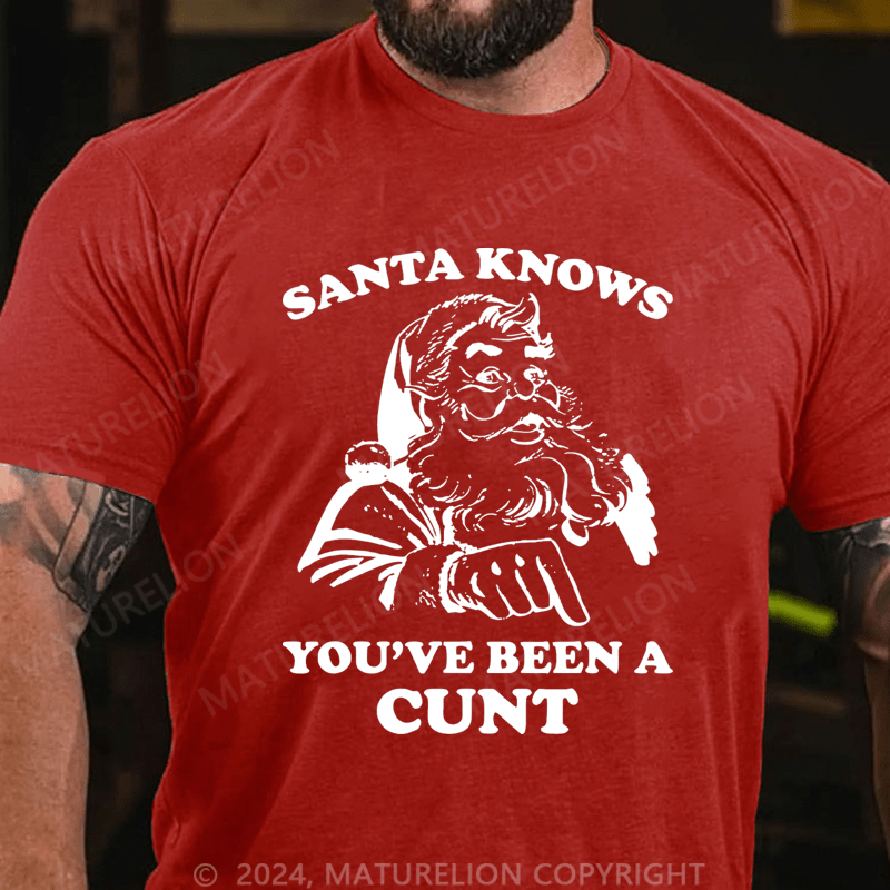 Maturelion Christmas T-Shirt Santa Knows You've Been A Cunt T-Shirt