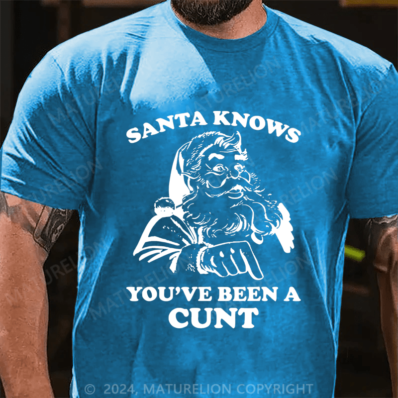 Maturelion Christmas T-Shirt Santa Knows You've Been A Cunt T-Shirt