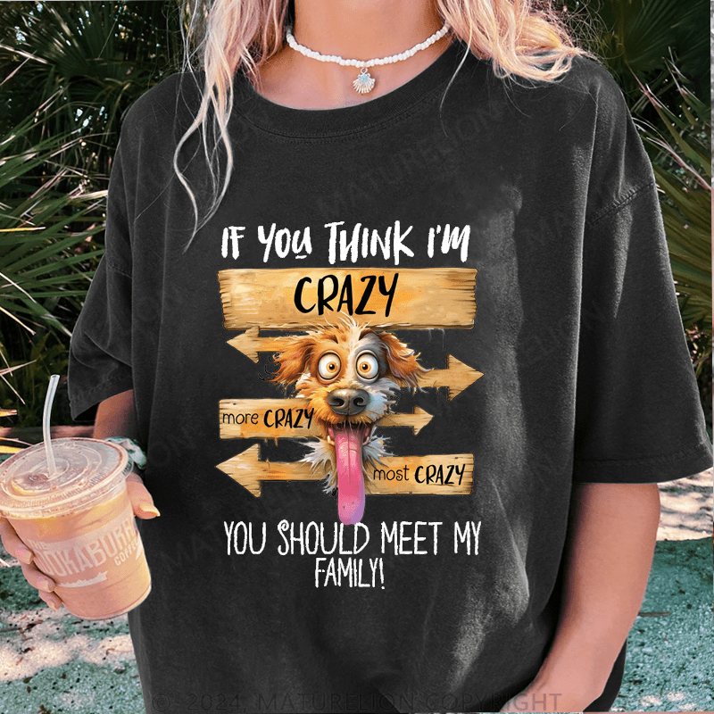 Maturelion If You Thing I'm Crazy More Crazy Most Crazy You Should Meet My Family DTG Printing Washed Cotton T-Shirt