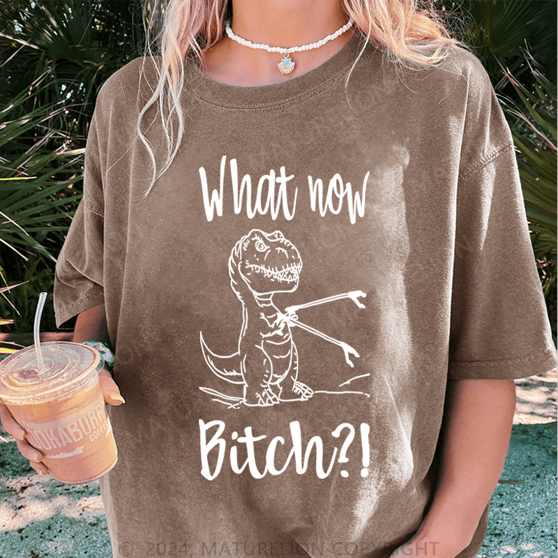 Maturelion What Now Bitch DTG Printing Washed T-Shirt